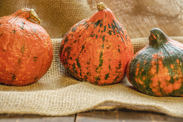 ripe pulpy pumpkins on sackcloth close up - Photo, Image