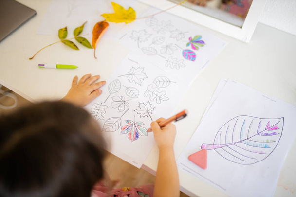 Pequena menina colorir diferentes tipos de folhas em uma folha de papel com uma caneta - Foto, Imagem