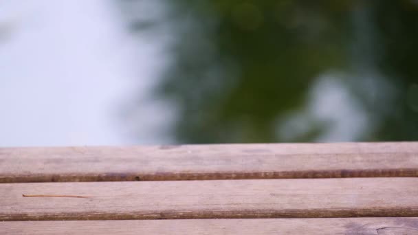 Teil einer leeren Holzbrücke auf einem fließenden Flusshintergrund. Ruhe an einem schönen ruhigen Sommertag. Kein Volk. - Filmmaterial, Video