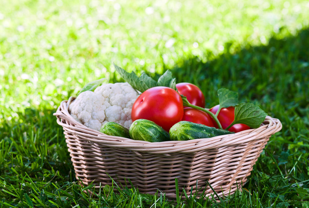 vegetables in basket - Фото, изображение