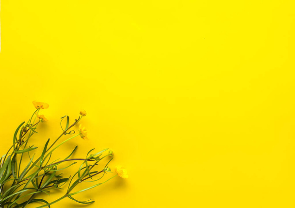 Krásná kytice květin na jasně žlutém pozadí. Rostliny Ranunculus acris - Fotografie, Obrázek