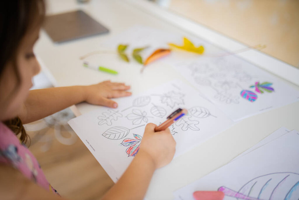 Κοριτσάκι χρωματίζοντας διαφορετικά είδη φύλλων σε ένα φύλλο χαρτιού με στυλό - Φωτογραφία, εικόνα