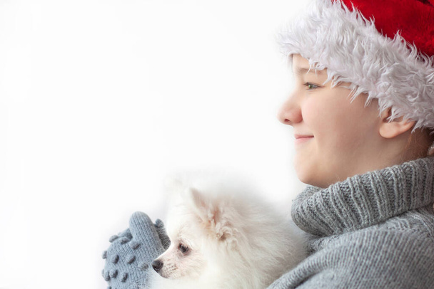 A teenage girl in a Santa hat, gray sweater and mittens holds a small white fluffy Pomeranian. The concept of Christmas and New year and taking care of the Pets, shelter at Christmas. - Foto, Imagen