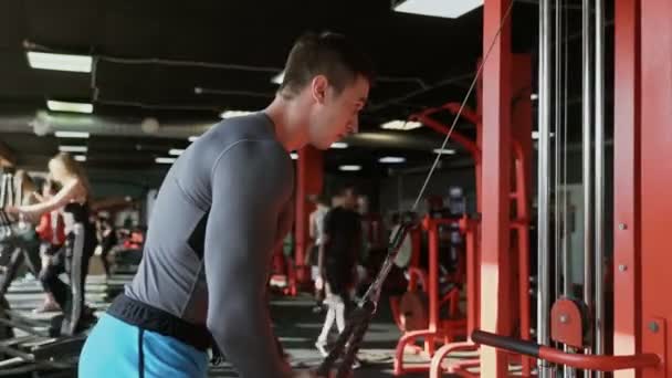 Vista lateral do homem atlético bonito treina tríceps na máquina no ginásio - Filmagem, Vídeo