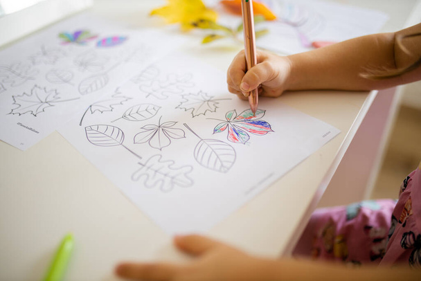 Pequena menina colorir diferentes tipos de folhas em uma folha de papel com uma caneta - Foto, Imagem