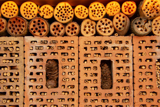 Albergo per api primo piano in piccolo giardino a Schoneberg Berlino - Foto, immagini