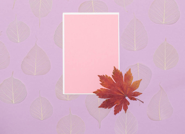 Fogalom kártyák hálaadásra és őszi szünetre. Egy orgona háttér száraz levelek és egy üres rózsaszín képeslap szöveges - Fotó, kép