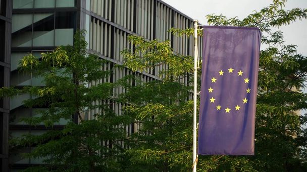 vlajka Evropské unie před moderní budovou - Fotografie, Obrázek
