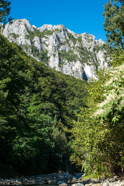 Ramet gorges from Transylvania, Trascau mountains, Alba county, Romania - Φωτογραφία, εικόνα