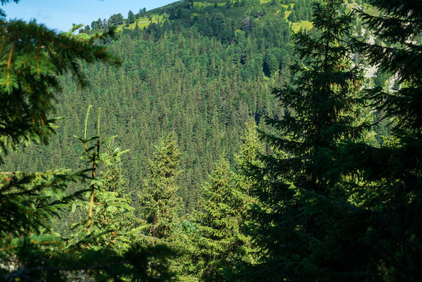 вид на дикий национальный парк Ретезат, Румыния - Фото, изображение