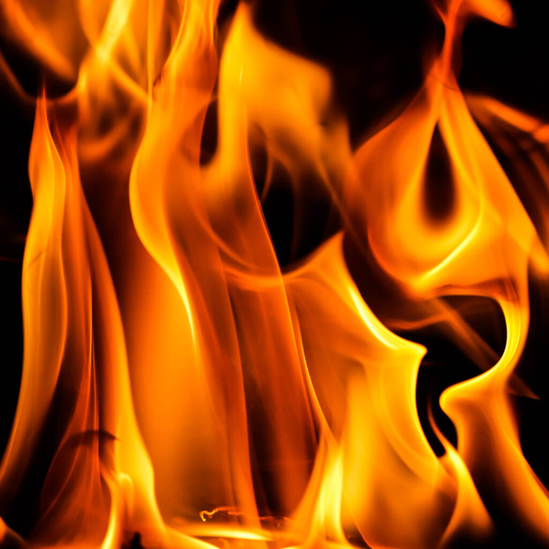 Rote Flamme Feuerflamme auf schwarzem Hintergrund - Foto, Bild
