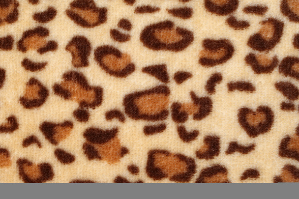 Leopard spots background - Photo, Image