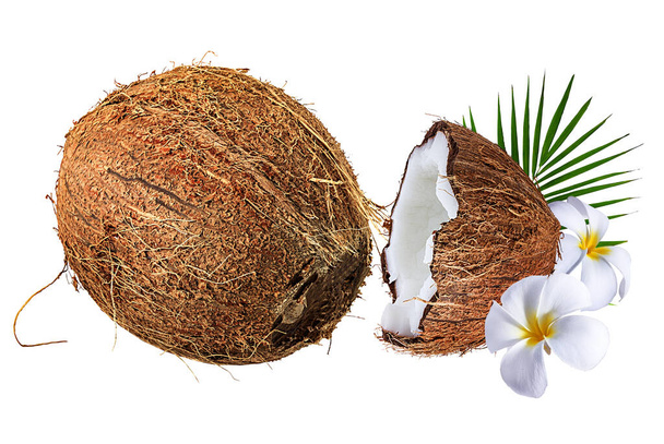 kokosové izolované na bílém pozadí - Fotografie, Obrázek