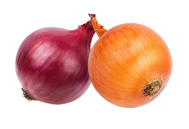 onion  isolated on white background - Photo, Image