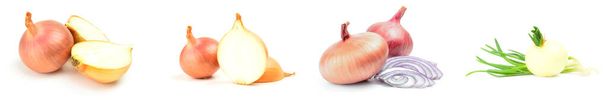 Collage of Onion isolated on a white background with clipping path - Photo, Image