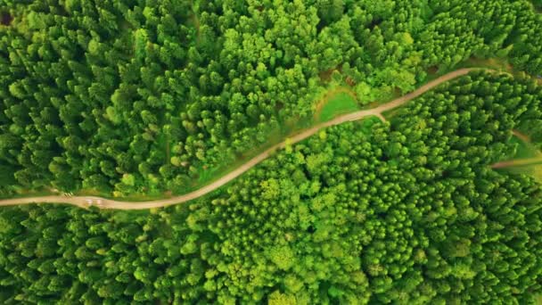 aerial view on route in wood - Footage, Video