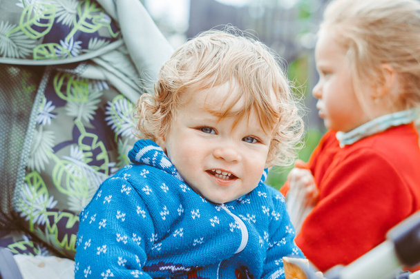 petit garçon heureux assis dans une poussette dans une blouse bleue - Photo, image
