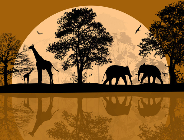 Животные Африки
  - Вектор,изображение