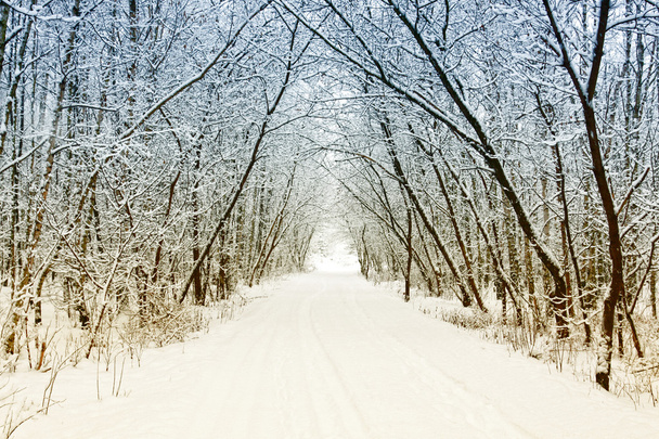 koude en besneeuwde winter weg - Foto, afbeelding