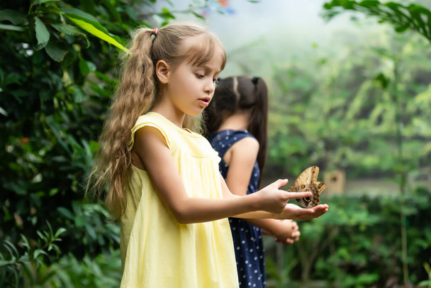 twee kleine meisjes met vlinders in een kas - Foto, afbeelding