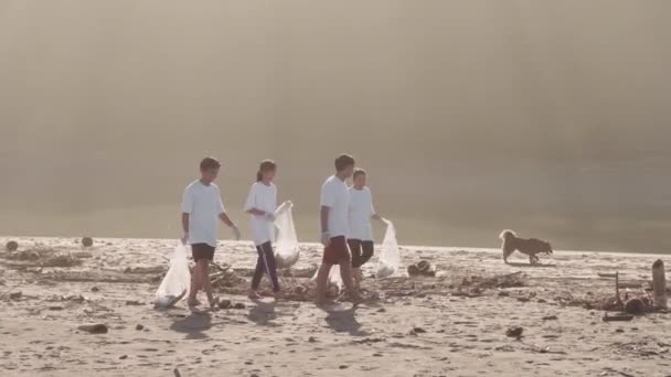 Kompletní postranní záběry čtyř členů environmentální komunity, kteří se procházejí podél pobřeží s pytli na odpadky po vyzvednutí odpadků a psa bez domova, který je sleduje - Záběry, video
