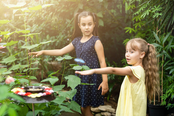 Дві маленькі сестри тримають метелика в руках. Діти досліджують природу. Сімейне дозвілля з дітьми влітку
. - Фото, зображення