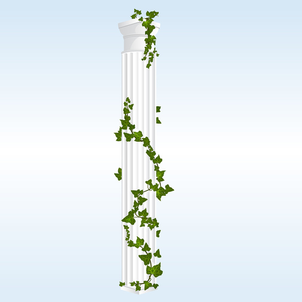 Vector Column with Ivy - Vector, Image