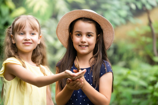 Δύο μικρές αδελφές κρατώντας μια πεταλούδα στα χέρια τους. Τα παιδιά εξερευνούν τη φύση. Οικογενειακή αναψυχή με παιδιά το καλοκαίρι. - Φωτογραφία, εικόνα