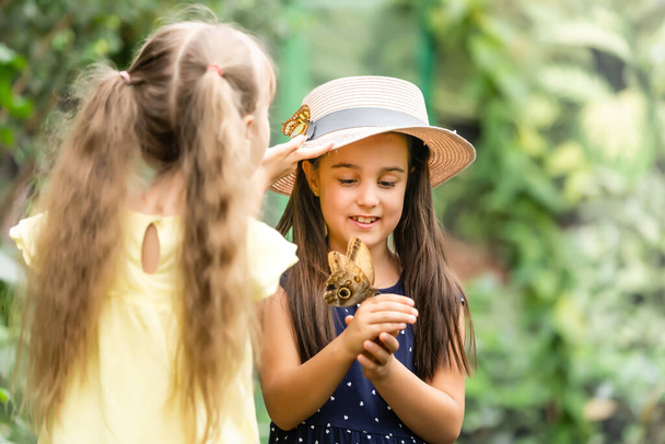 Kaksi pikkusiskoa pitelee perhosta käsissään. Lapset tutkivat luontoa. Perheen vapaa-aika lasten kanssa kesällä. - Valokuva, kuva