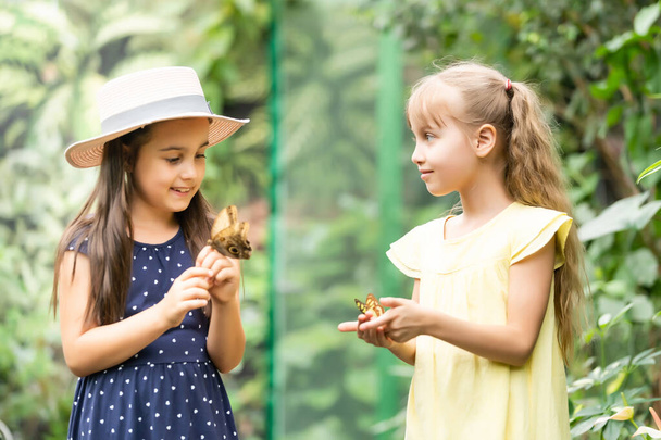 2人の妹が蝶を手に持っている。自然を探検する子供たち。夏の子供たちと家族のレジャー. - 写真・画像
