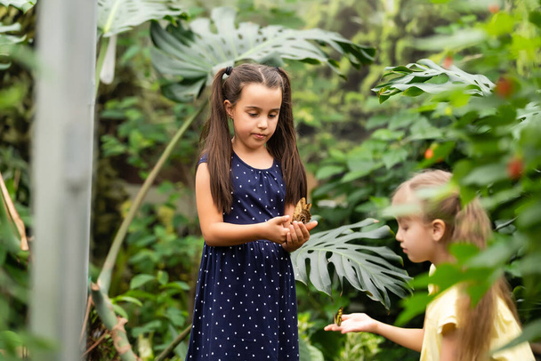 Дві маленькі сестри тримають метелика в руках. Діти досліджують природу. Сімейне дозвілля з дітьми влітку
. - Фото, зображення