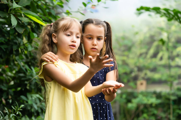 Két kishúgom pillangót tart a kezében. A gyerekek felfedezik a természetet. Családi kikapcsolódás gyerekekkel nyáron. - Fotó, kép