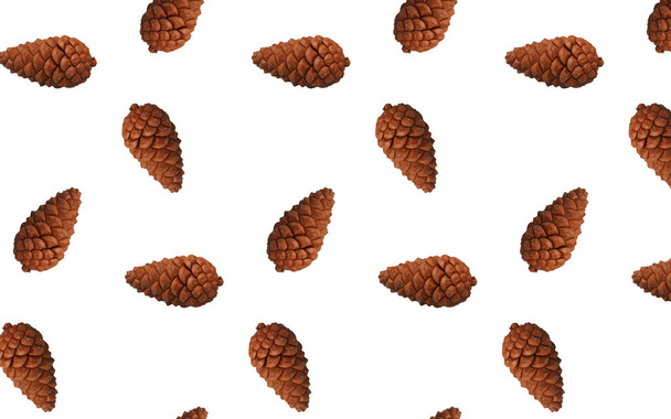 close up cones de pinho isolado fundo branco - Foto, Imagem