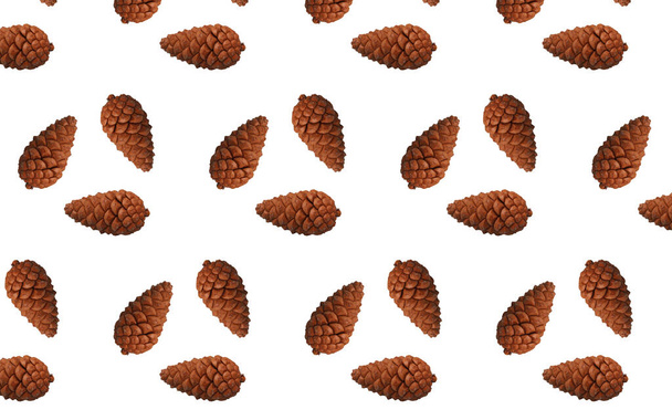 close up  pine cones isolated white background - Photo, Image