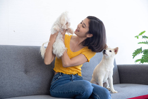 An Asian woman sitting with a Maltese dog and a white Shiba Inu. - Photo, Image