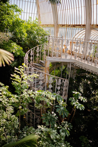 La escalera de caracol de la casa de palmeras de Kew, construida en 1844, rodeada por su jardín - Foto, Imagen