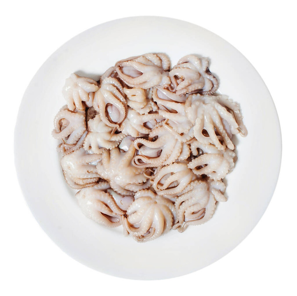 Many small raw octopuses on a white plate. Isolated on white background. View from above - Photo, Image