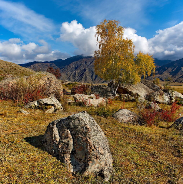 Rosja. Na południe od zachodniej Syberii. Górski Altai. Niesamowite kamienne posadzki w dolinie rzeki Katun wzdłuż szlaku Chui. - Zdjęcie, obraz