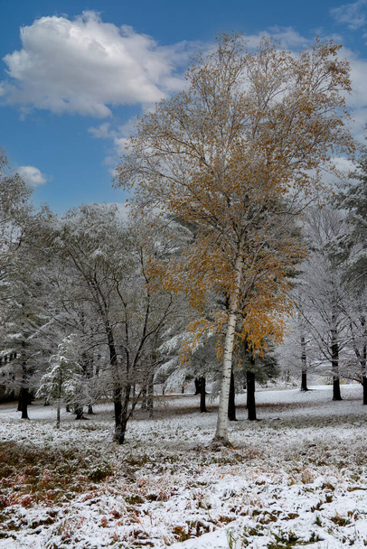 Walpole, New Hampshire, Yhdysvallat. Vuoteen 2020. Syksyinen kohtaus maaseudulla kauden ensimmäisen lumen jälkeen. - Valokuva, kuva