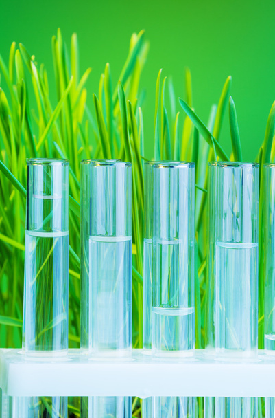 Test tubes with grass - Φωτογραφία, εικόνα