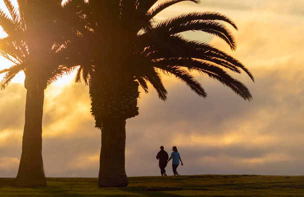 Two large palm trees and two walking women with a background view of a dramatic sunset - Foto, Imagem