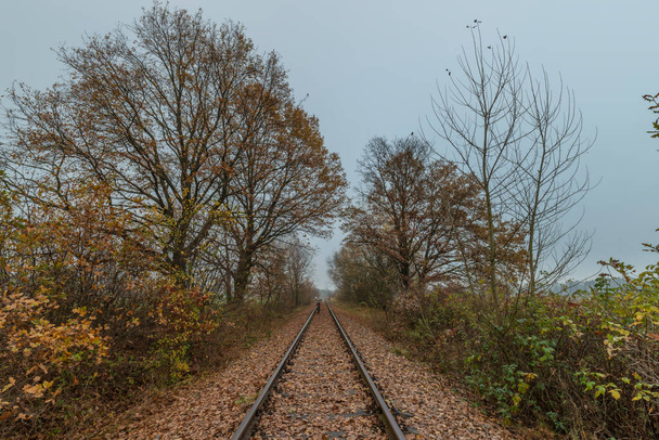 Stara bocznica kolejowa w pobliżu miasta Ceske Budejovice do lotniska jesienią mgła ciemny dzień - Zdjęcie, obraz