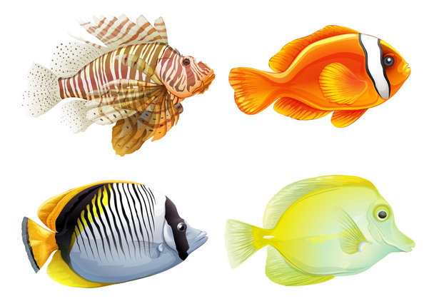 τέσσερις ψάρια - Διάνυσμα, εικόνα