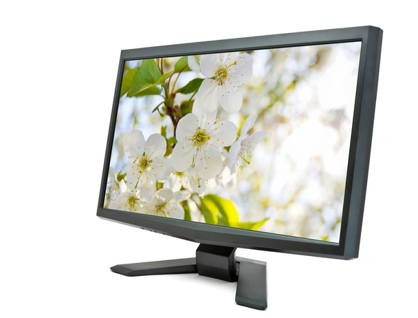 Monitor und Kirschblüten. - Foto, Bild