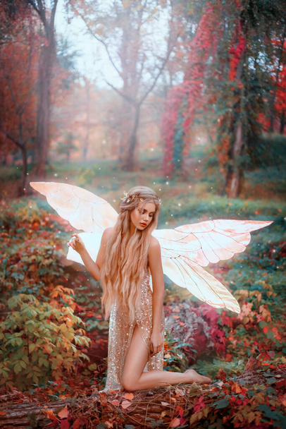 Young beautiful fantasy woman in the image of fairy. Forest pixie girl with golden glowing butterfly wings. Fashion model posing in forest dressed as an angel. Bright colorful autumn foliage of trees - Foto, Imagem
