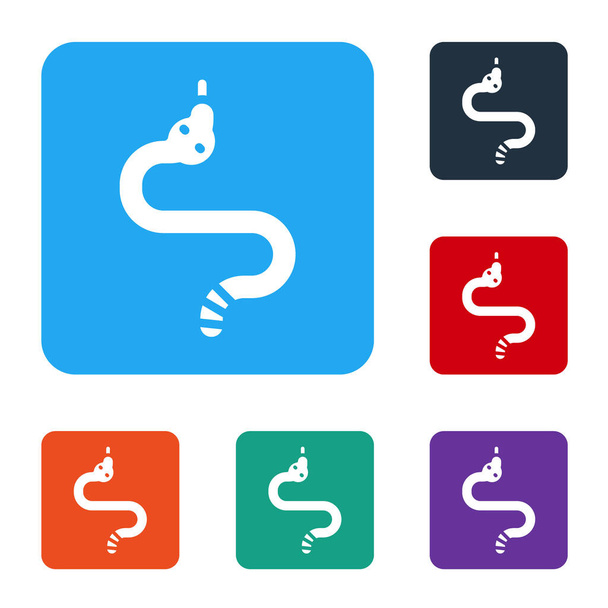 Fehér Kígyó ikon elszigetelt fehér háttérrel. Állítsa ikonok színes négyzet gombok. Vektor. - Vektor, kép