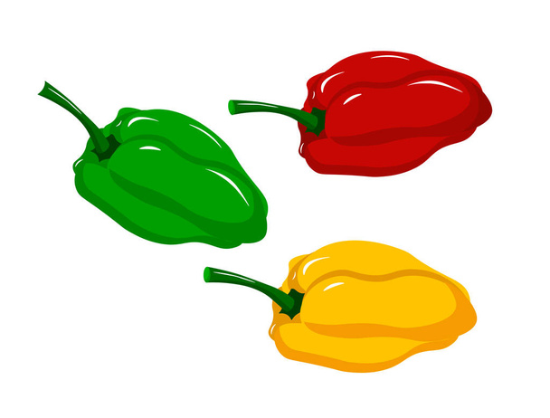 サラダ用の甘いコショウ-緑、黄色、赤. - ベクター画像
