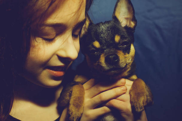 Junges Mädchen mit Hund. Ein 9 oder 10 Jahre altes Schulmädchen mit einem Chihuahua. Ein Porträt eines Mädchens, das einen hübschen Hund hält. Kleines Mädchen mit einem Chihuahua. Mädchen mit Chihuahua. Mädchen mit ihrem Haustier auf dem Arm. - Foto, Bild