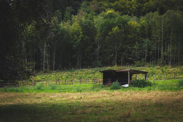 A landscape portrait of a shed in the middle of the meadow in a forest. The woods to the back create a very scenic barn. - Fotó, kép