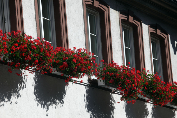 Миллениум, Бавария, Германия, ухоженные деревянные дома с цветочными коробками
 - Фото, изображение